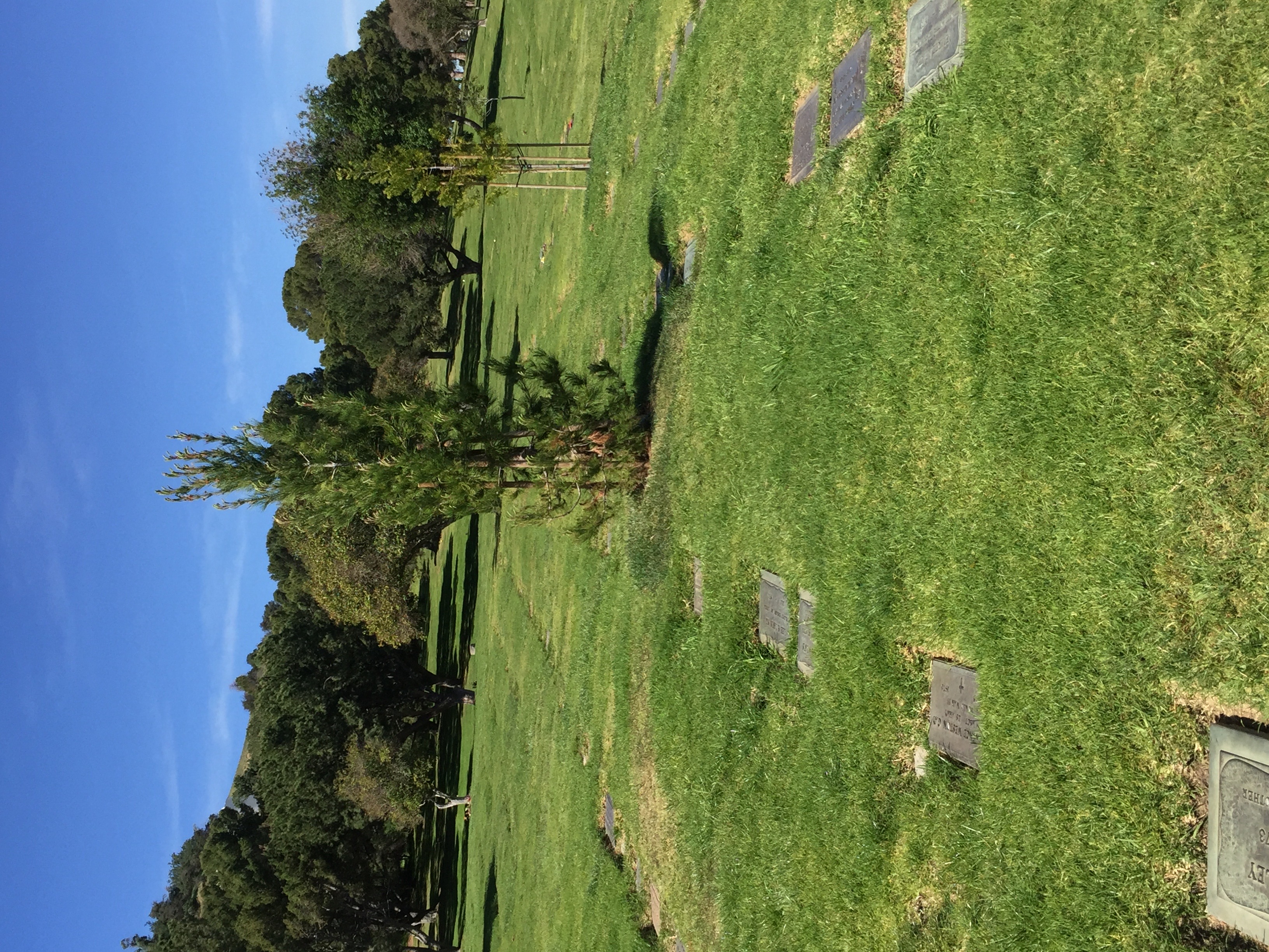 Grave for sale - Forest Lawn Memorial Park - Hollywood Hills: CB-900117