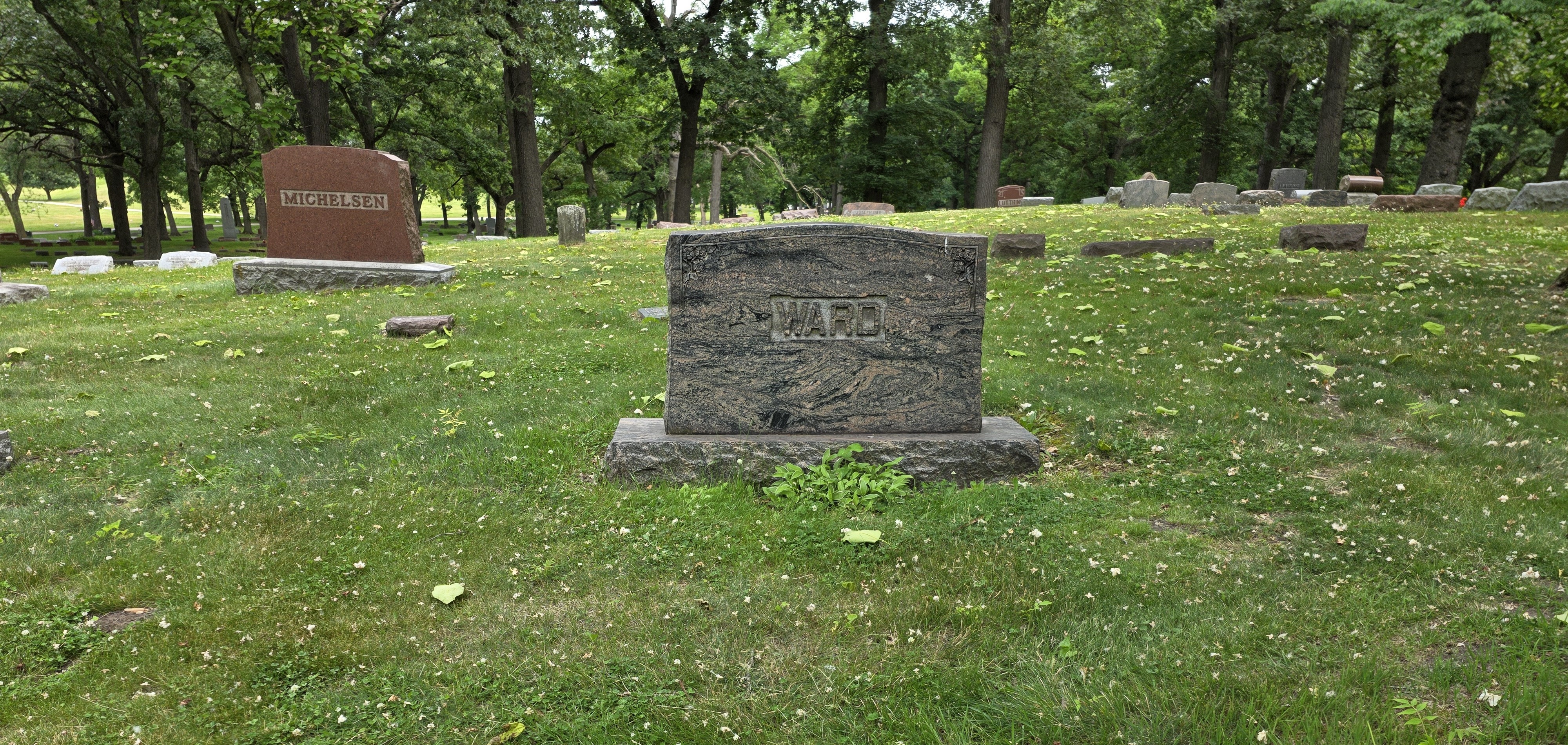 Grave for sale - Homewood Memorial Gardens