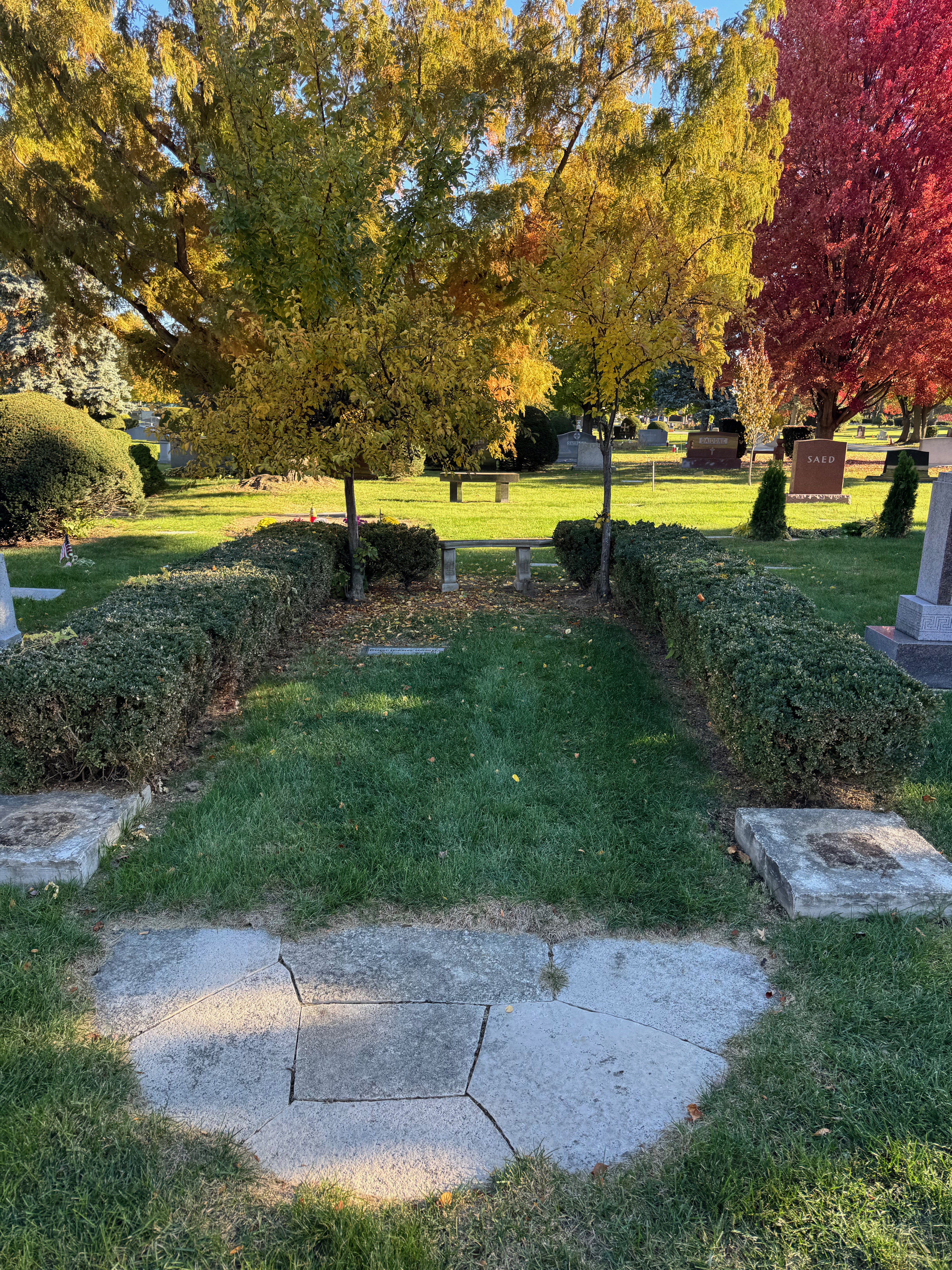 Grave for sale - Memorial Park Cemetery - Skokie (8 spaces): CB-900095
