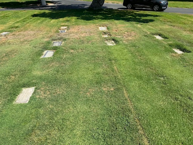 Grave for sale - Pomona Cemetery - Pomona (4 spaces)