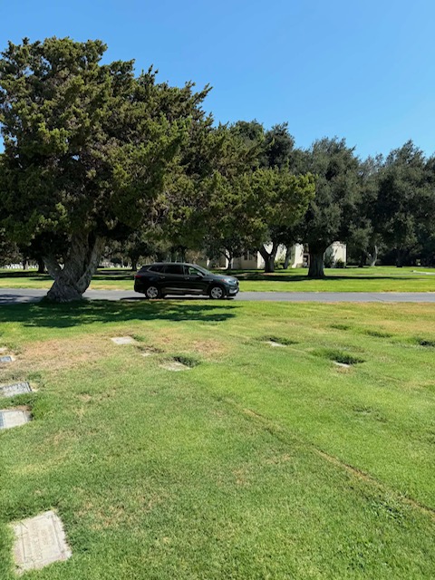 Grave for sale - Pomona Cemetery - Pomona (2 spaces)